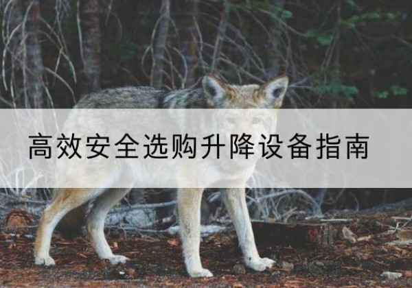 延边升降货梯厂家推荐-*安全选购升降设备指南
