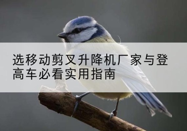 延边电动升降机厂家-选移动剪叉升降机厂家与登高车必看实用指南