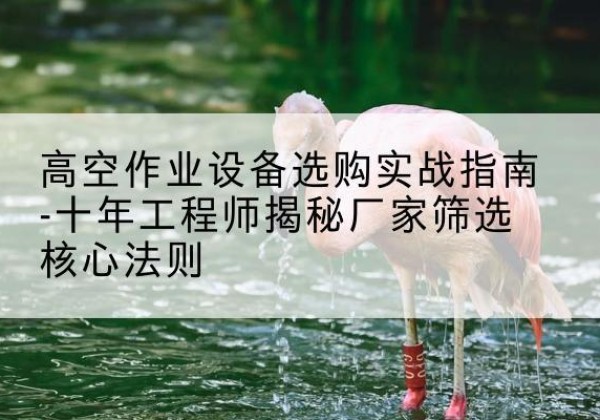 延边剪叉式升降机厂家-高空作业设备选购实战指南-十年工程师揭秘厂家筛选核心法则