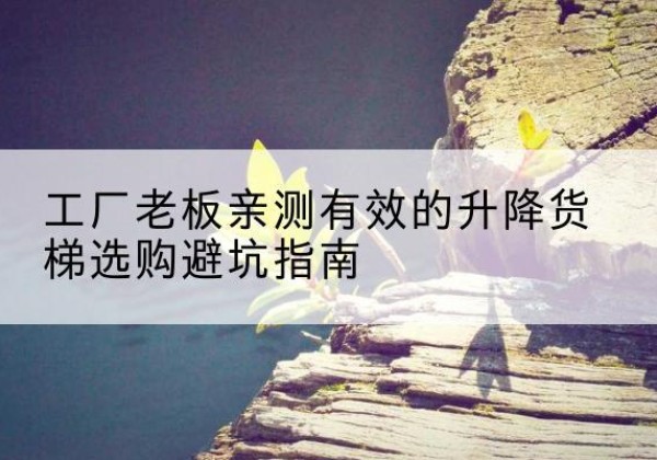 延边升降货梯怎么选-工厂老板亲测有效的升降货梯选购避坑指南